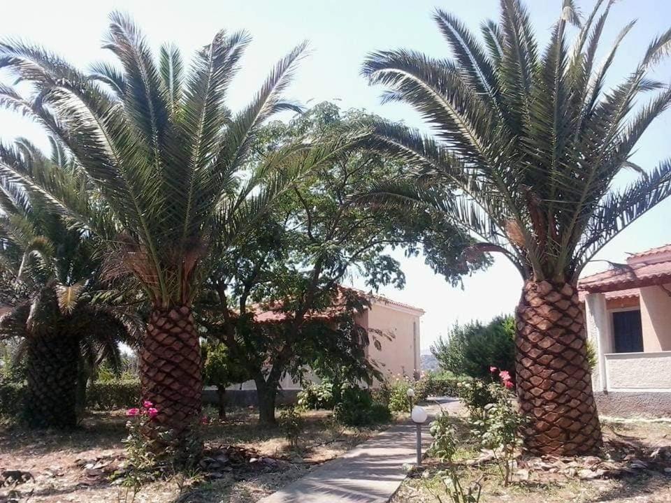 Oasis Studios Skala Kallonis Buitenkant foto