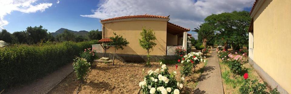 Oasis Studios Skala Kallonis Buitenkant foto