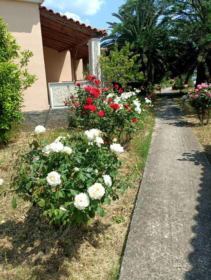 Oasis Studios Skala Kallonis Buitenkant foto